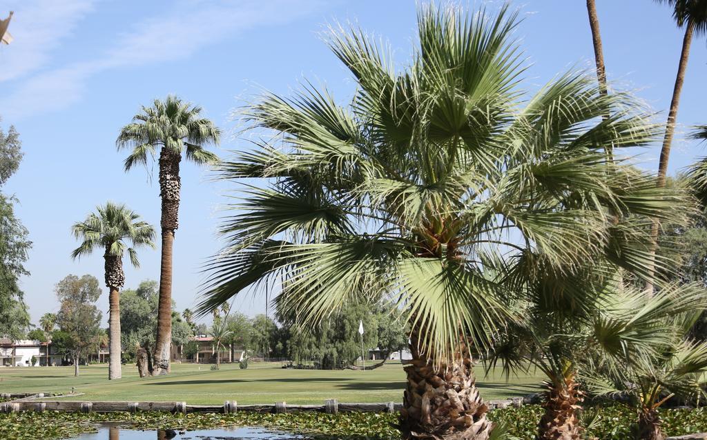 Barbara Worth Golf Resort Holtville Extérieur photo